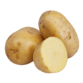 Potatoes stock image.png