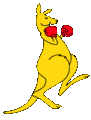 Boxing-kangaroo2.gif