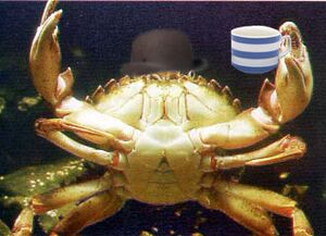 Crabby.jpg