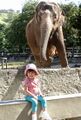 Elephantgirl.jpg