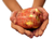 Potato hands.png