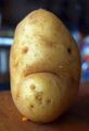 Potatoes002.jpg