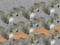 Squirrels marching close2.png