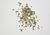 Herbs.JPG