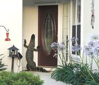 Alligator at door.jpg