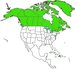 Alaska Map.png