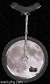 Lunarcycle.png