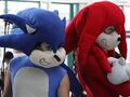 Sonic Fans.jpg