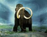 Woolly mammoth.jpg