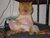 Catsarestupid.jpg