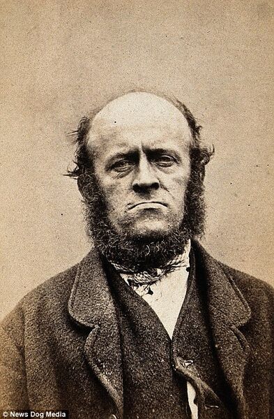 File:Chief whip.jpg