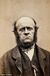 Chief whip.jpg