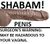 SHABAM!penis.jpg