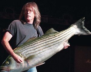 Uncyclopedia:VFP/Class B - Uncyclopedia, the content-free encyclopedia