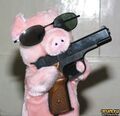 Boer pig with handgun.jpg