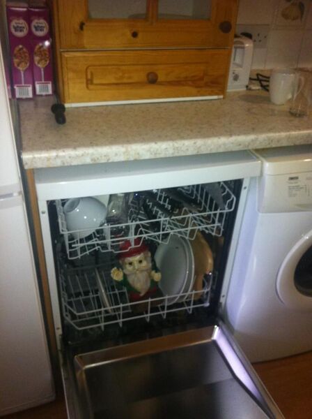 File:Gnomie wash.jpeg