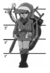 Link7.gif