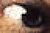 Right Eye.jpg