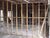 Hurricane Building Inside.jpg