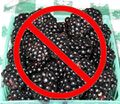 Blackberries1.jpg