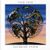 LAUGHING STOCK (Talk Talk) - Front cover.jpg