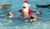 Porpoise santa.jpg