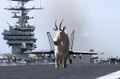 Airgoat.JPG