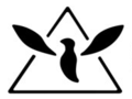 Thumbnail for version as of 23:19, 24 October 2010