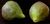 Figs.jpg