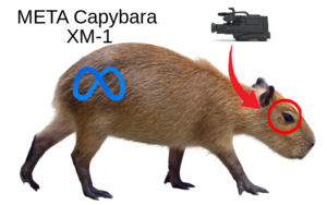 META Capybara XM-1.png