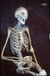 Skeleton lionel.jpg