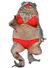Canetoad.jpg