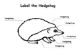 Label the hedgehog.png