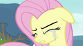 Don't Cry Fluttershy.png