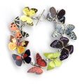 Butterfly-bracelet.jpg