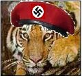 Nazi Tiger.jpg