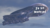 Ship just married.png