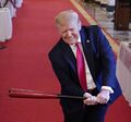 Trump baseball bat.jpg