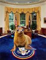 Presidential Seal.JPG