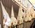 180px-Young Klansmen.jpg