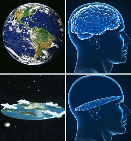 File:Flat Earther's brain.jpg