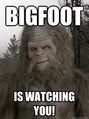 Bigfoot is watching you!.jpg