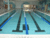 Lap Pool.gif