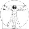 Vitruvian man.jpg