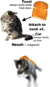 Cat toast swirl.gif