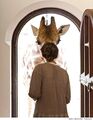 Giraffe at door.jpg