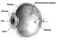 Thumbnail for version as of 12:24, 21 April 2006