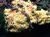 Slime mold.jpg