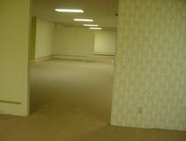 Backrooms.jpeg