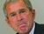 Chimpy-frown.jpg